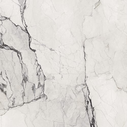 Camouflage 24X48 Matte