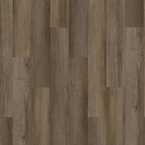 Long Bien 6.0 by Aladdin Commercial - Juneau