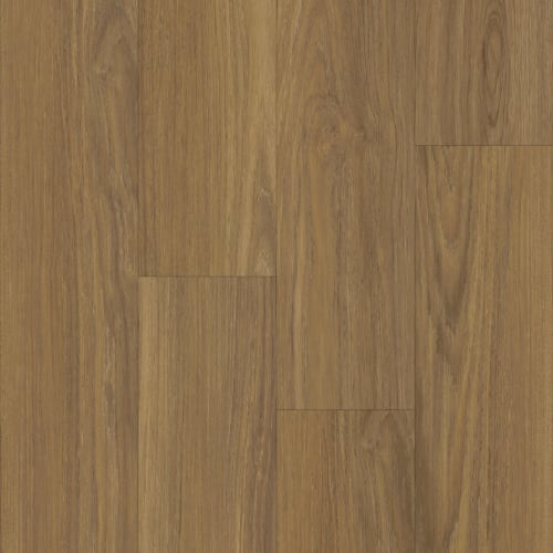 Laurel Oak