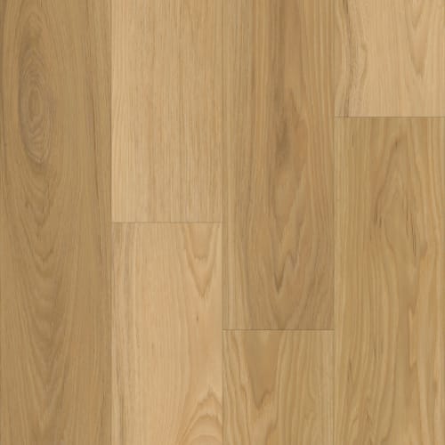 Cumberland Hickory