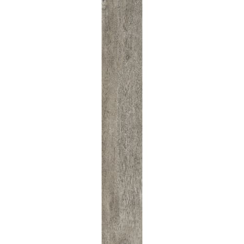 Tortora - 8X48