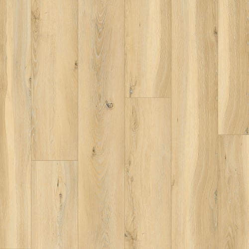 Illumin8 by Old Master Products