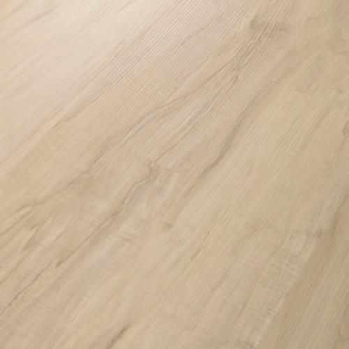Spalted Maple