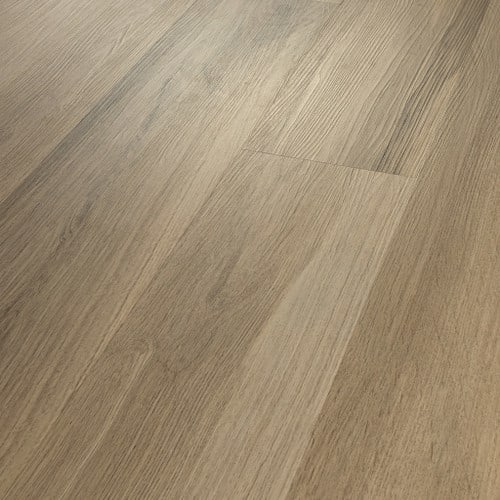Almond Oak