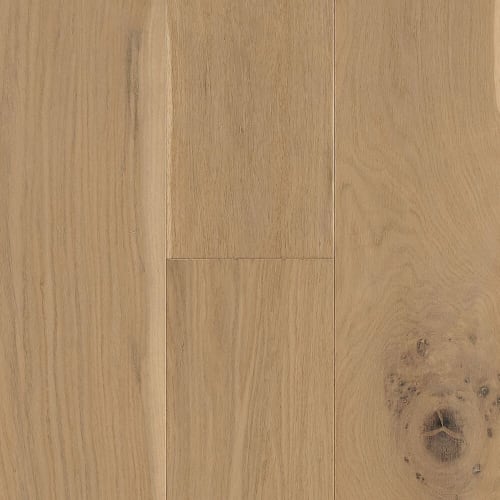 Amelia Island by Paradiso