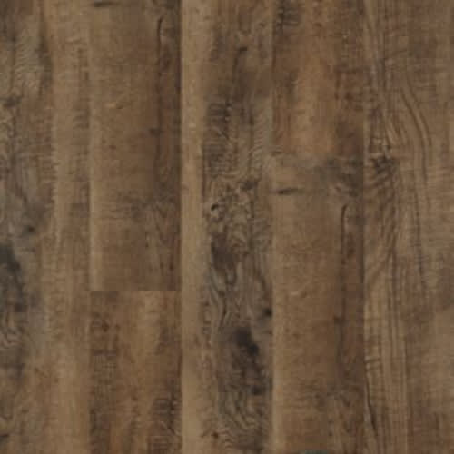 Saddle Brown