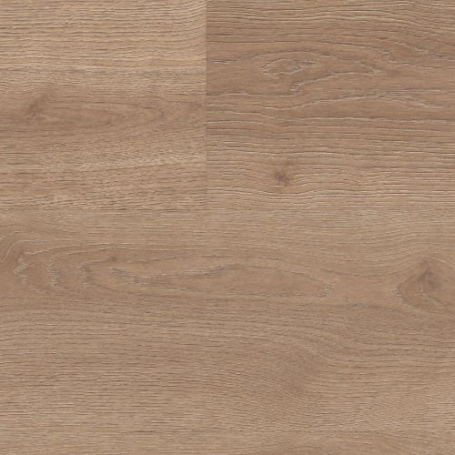 Savoy Oak
