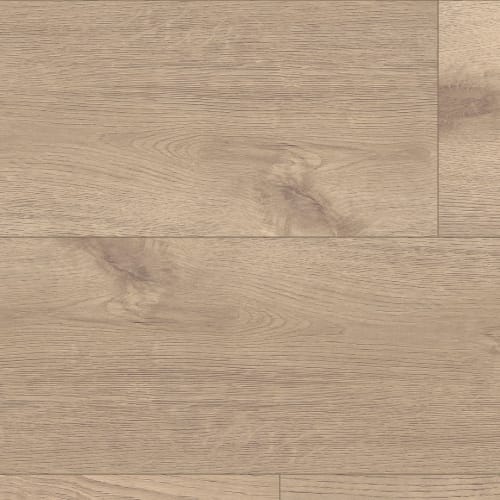 Pronto Oak