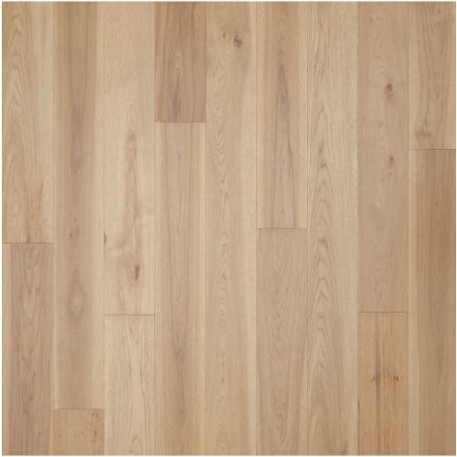 Oxhide Hickory