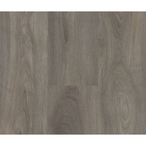 Elegant Dark Grey