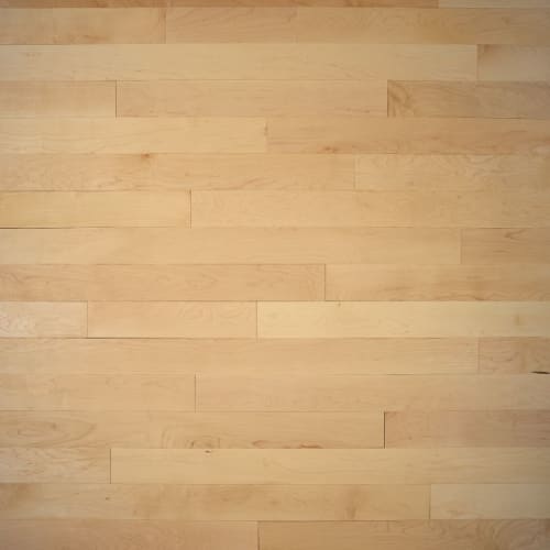 Signature by Express Flooring - Natural 4" - Maple Prestige