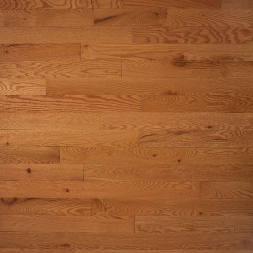 Signature by Express Flooring - Amaretto 5" - Red Oak Excel