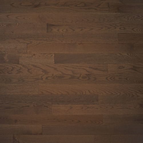 Safari 5" - Red Oak Excel