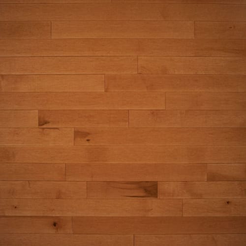 Signature by Express Flooring - Toffee 5" - Maple Excel