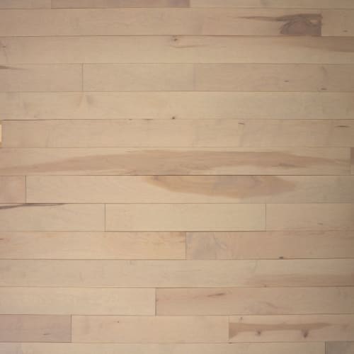 Signature by Express Flooring - Travertine 4" - Maple Excel