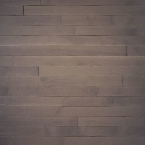 Special FX by Express Flooring - Nickel 5" - Maple Excel