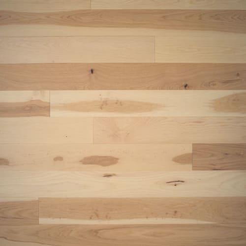 Verita by Express Flooring - Poesia 5" - Hickory Excel