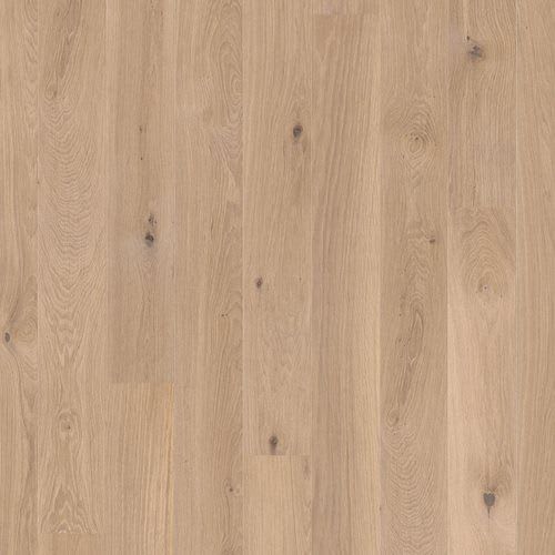 Oak Animoso White