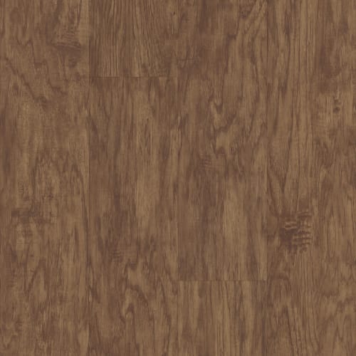 Endura Plus by Shaw Industries - Sienna Oak