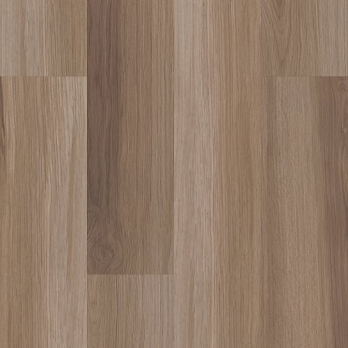 Endura Plus by Shaw Industries - Hazel Oak