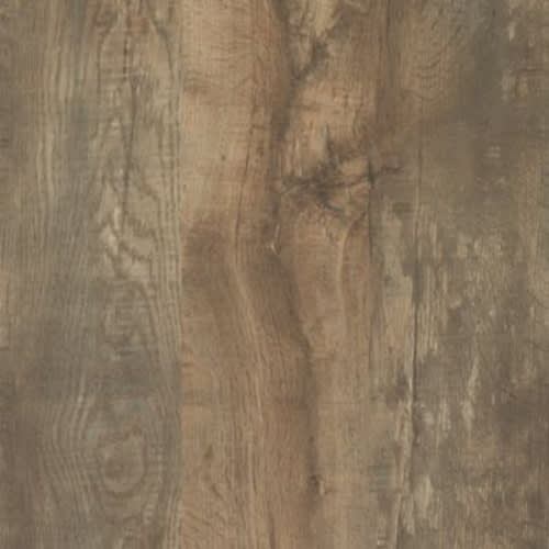 Toasted Oak