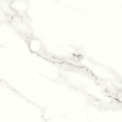 Contessa by Emser Tile - Dama 23" X 23" Polished