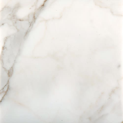 Marble Calacata Oro by Emser Tile