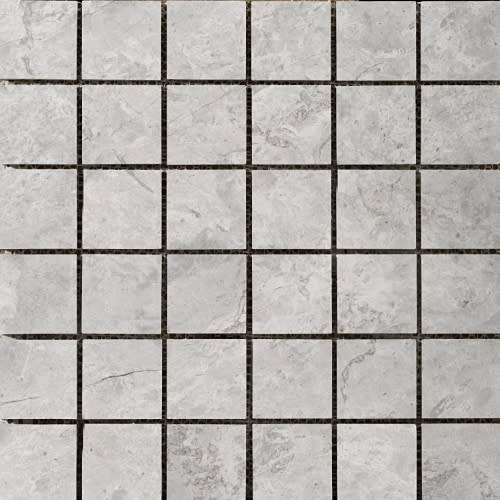 Marble Silver Collection by Emser Tile - Silver Polished 2" X 2"