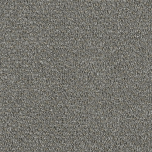 Grey Umbra
