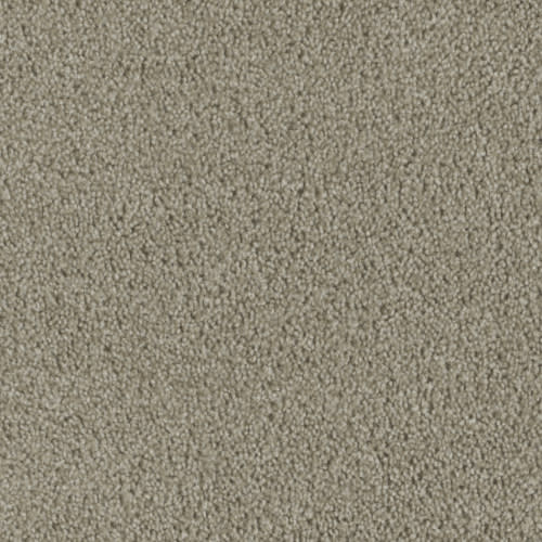 Plaster