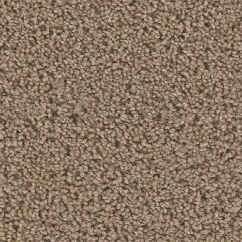 Honey Beige