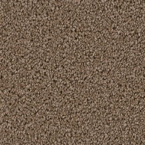 Top Star Taupe 565