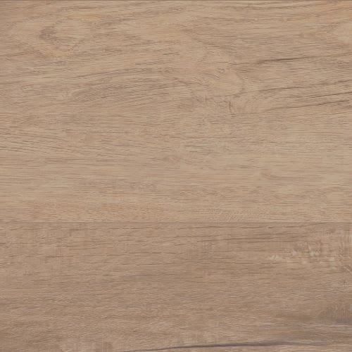 Grande Goldin Oak