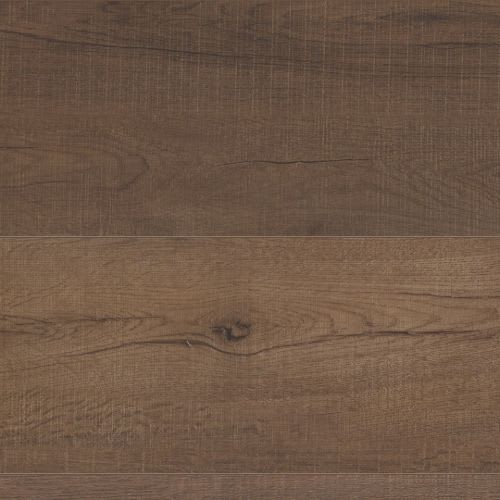 Canary Oak
