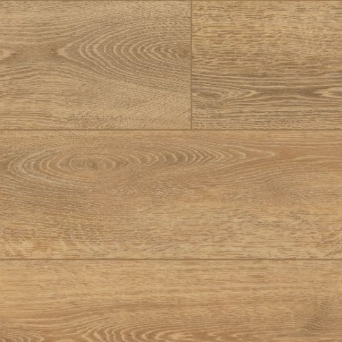 Tampa Oak