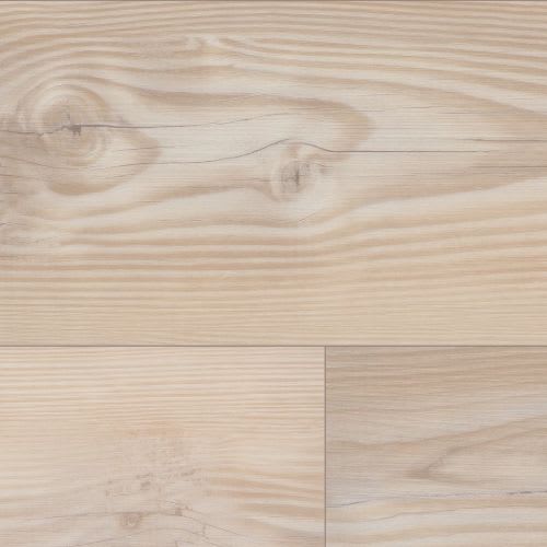 Tolima Pine