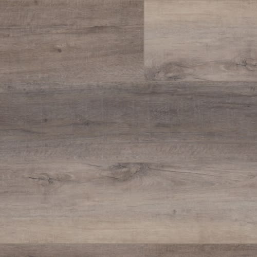 Berkshire Elm