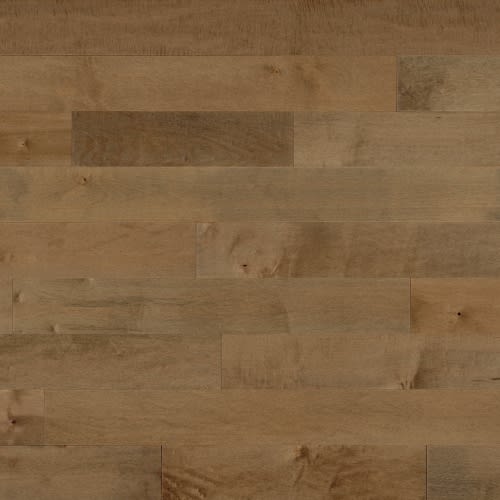 Maple Buckskin