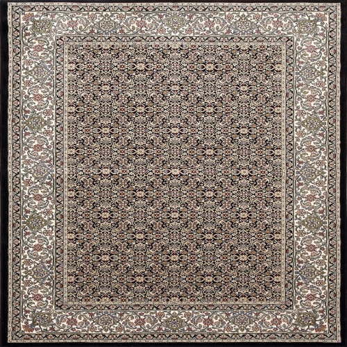 Ancient Garden - Black/Ivory by Dynamic Rugs - 