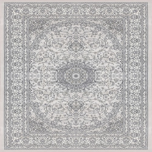 Ancient Garden - Soft Grey/Cream by Dynamic Rugs - 