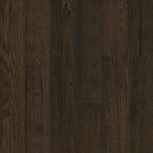 Black Brown 5