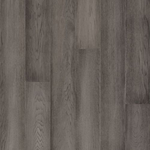 Cool Gray 5
