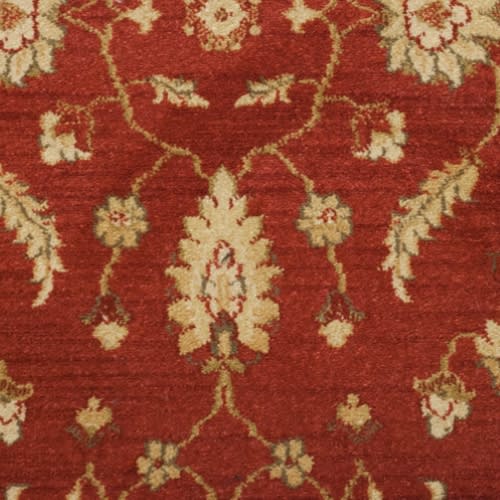 Andiamo by Kane Carpet - Rust