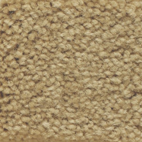 Americana by Masland Carpets - Cliffrose