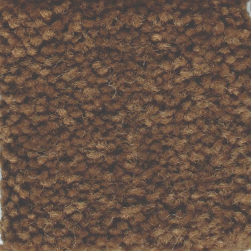 Americana by Masland Carpets - Coati