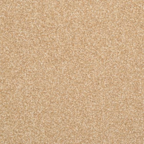 Zenato by Masland Carpets - Clay Pot