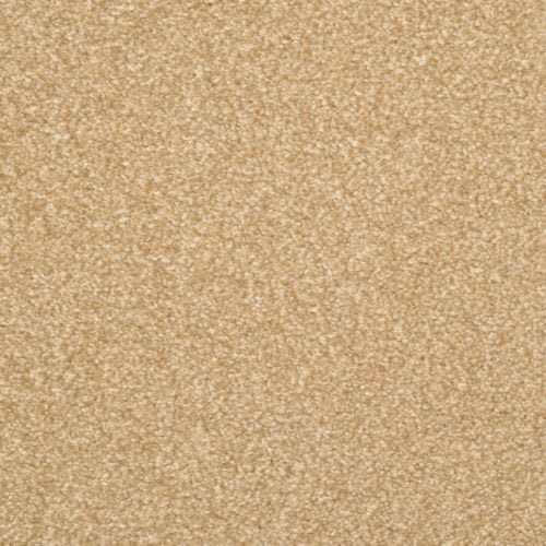 Zenato by Masland Carpets - Cashew