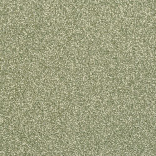 Zenato by Masland Carpets - Pine