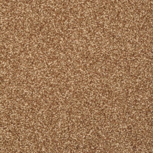 Beacon Hill by Masland Carpets - Walnut