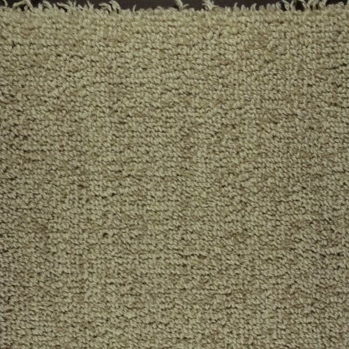 Bellini by Masland Carpets & Rugs - Mastice